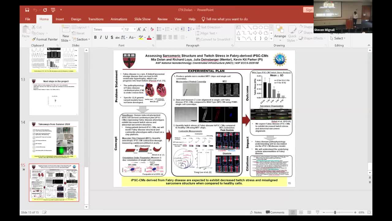 Mechanical Stability Assessment of Silicon Microcapsules