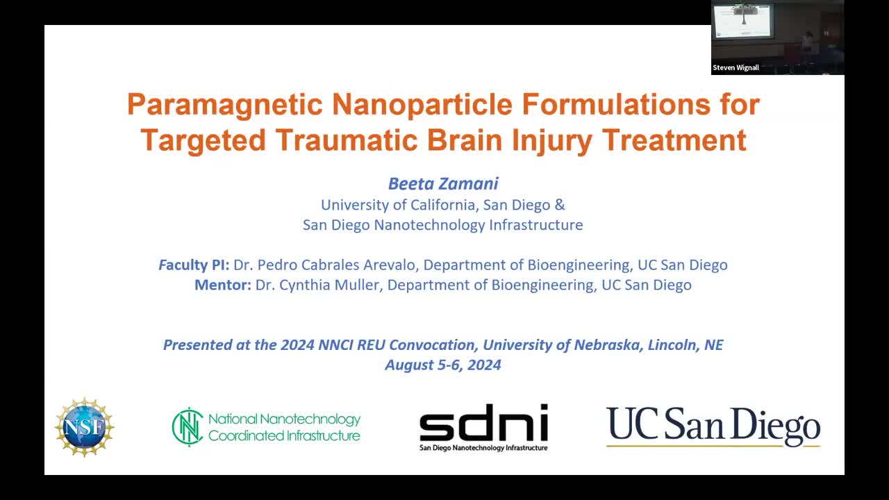 Paramagnetic Nanoparticle Formulations for Targeted Traumatic Brain Injury Treatment