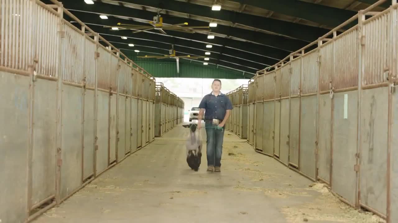 Nebraska Extension - 4-H Youth Development