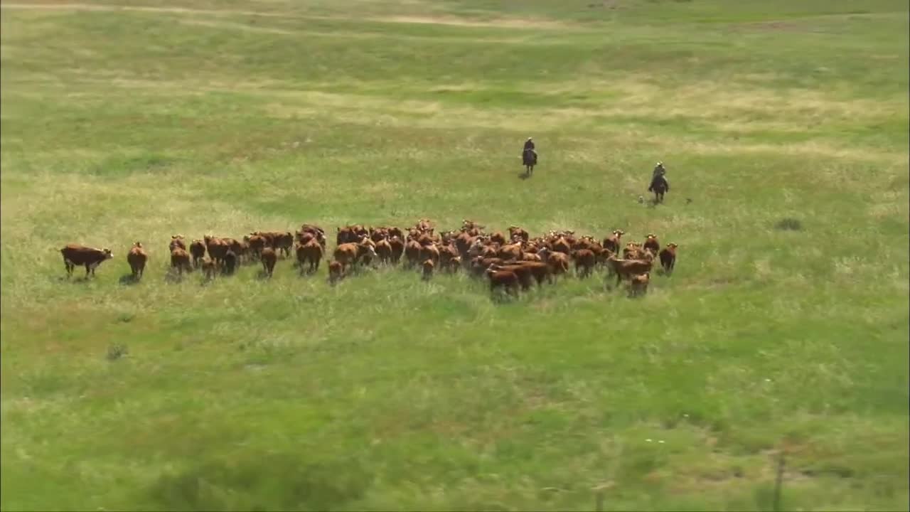 Nebraska Extension - Livestock Systems