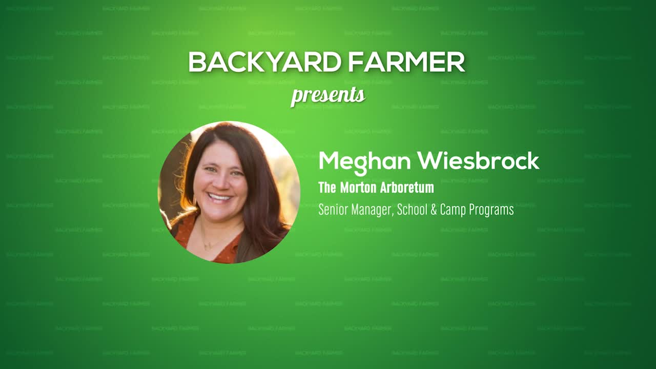 Conserving Nature’s Beauty with Meghan Wiesbrock | The Morton Arboretum