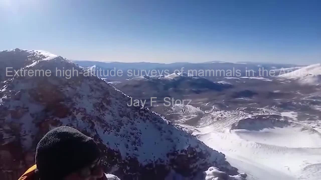 Jay Storz - Extreme high-altitude surveys of Andean mammals