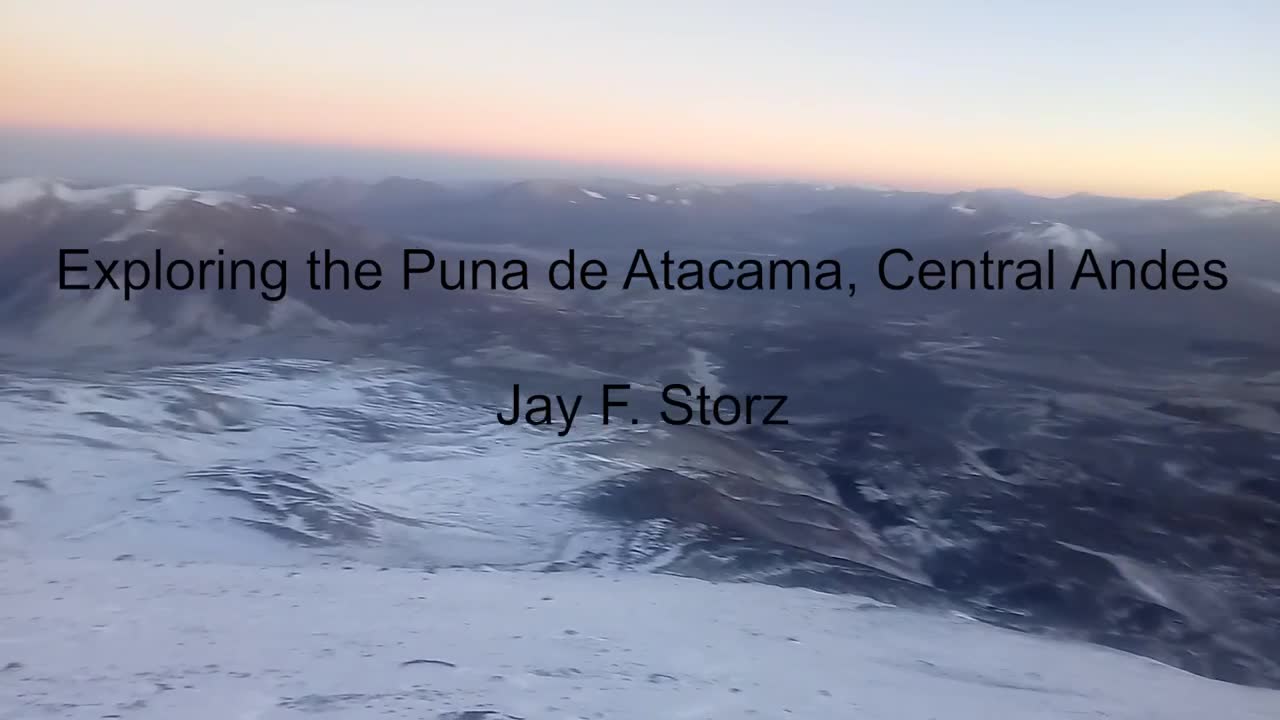 Jay Storz - High-altitude exploration of the Puna de Atacama, Central Andes