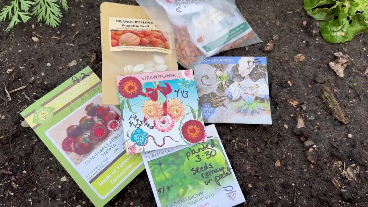 Garden Prep with Seed Catalogs