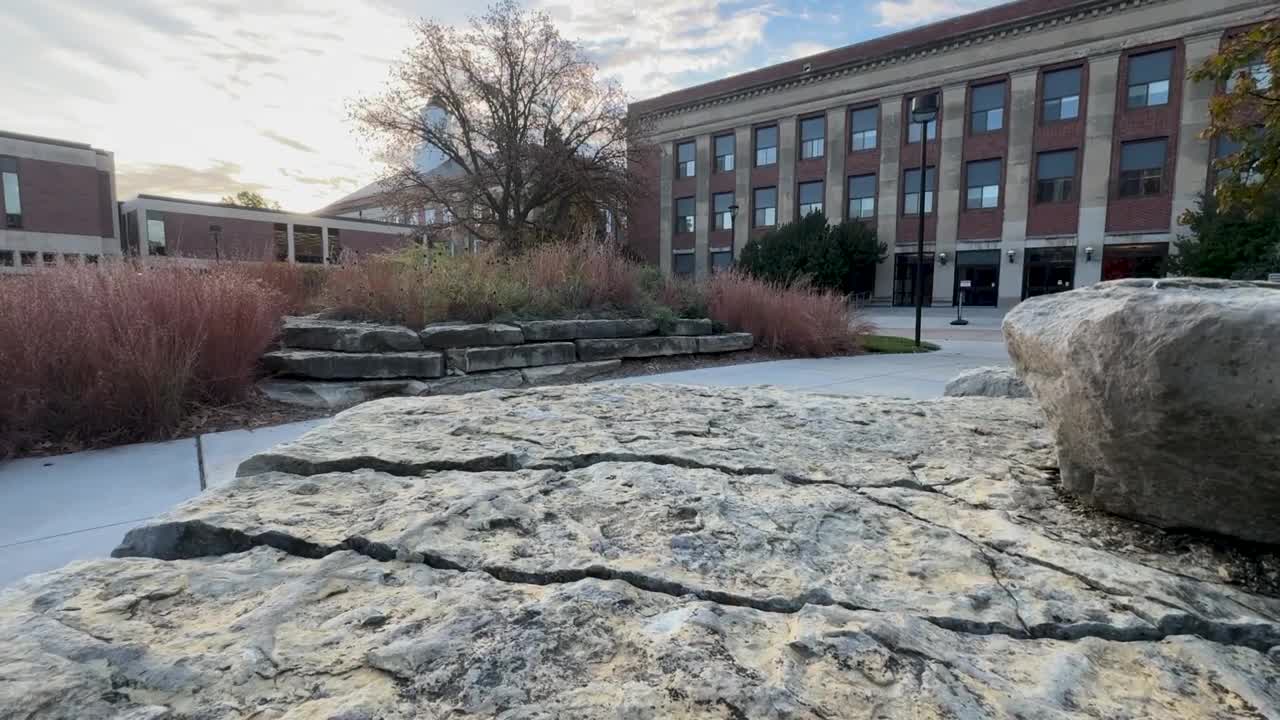 Retaining Walls and Native Plants