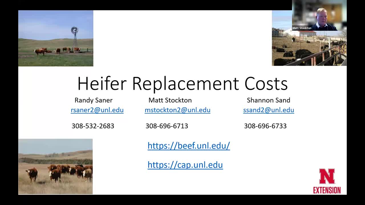 2024 Beef Heifer Replacement Price Forecast (Nov. 30, 2023 Webinar)