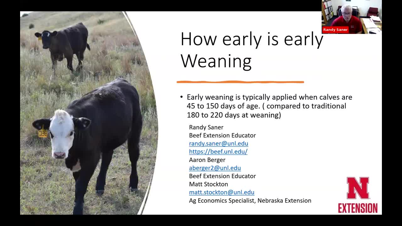 The Option of Early Weaning Calves (June 22, 2023 Webinar)