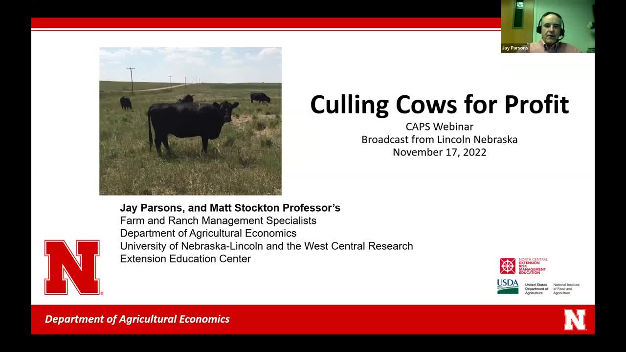 Culling Cows for Profit (Nov. 17, 2022 Webinar)