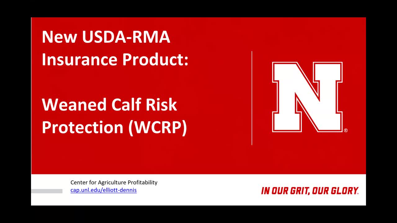 Weaned Calf Risk Protection Insurance (Jan. 9, 2025 Webinar)