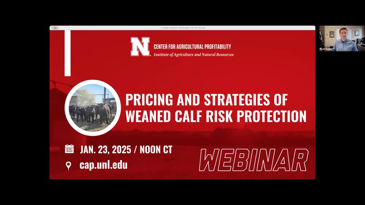 Pricing and Strategies of Weaned Calf Risk Protection (Jan. 23, 2025 Webinar)