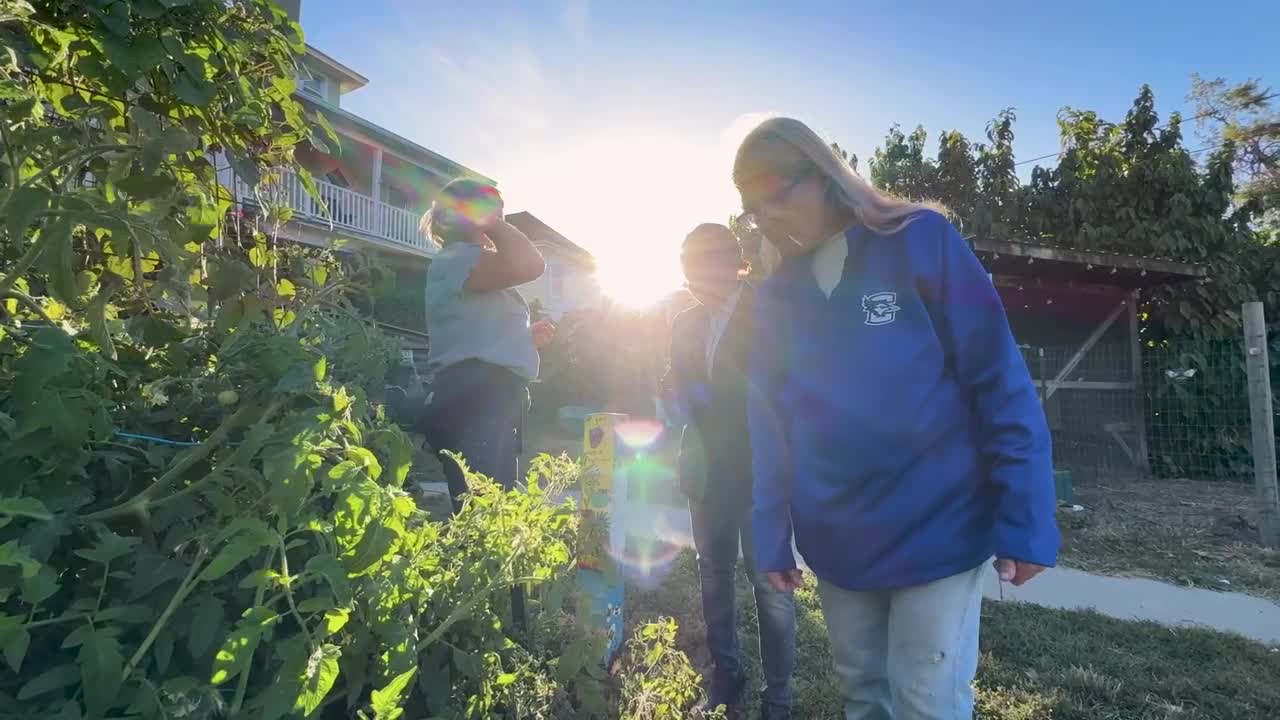 City Sprouts, Evolution of Urban Farming