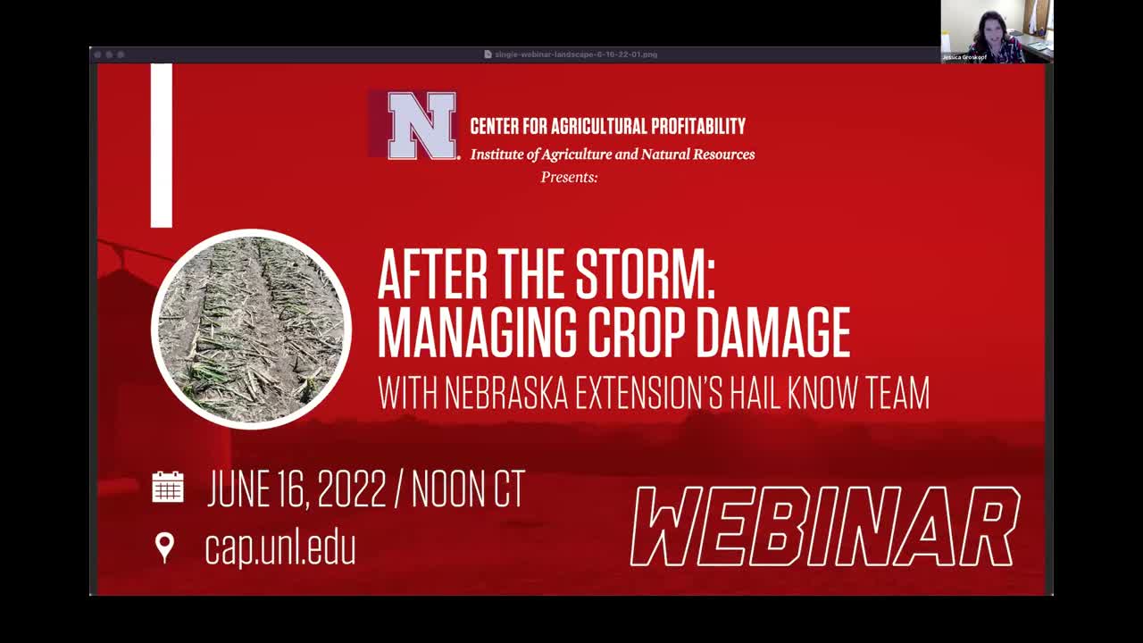 After the Storm: Managing Crop Damage (June 16, 2022 Webinar)