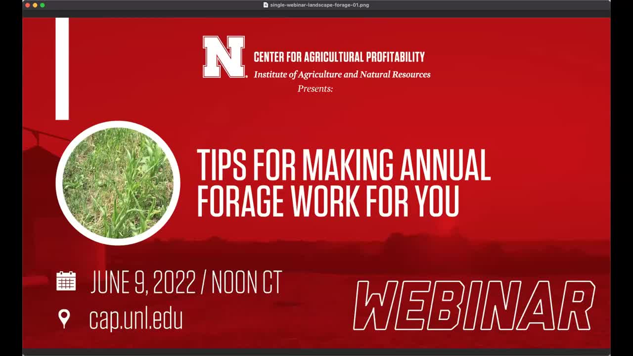 Tips for Making Annual Forages Work for You (June 9, 2022 Webinar)