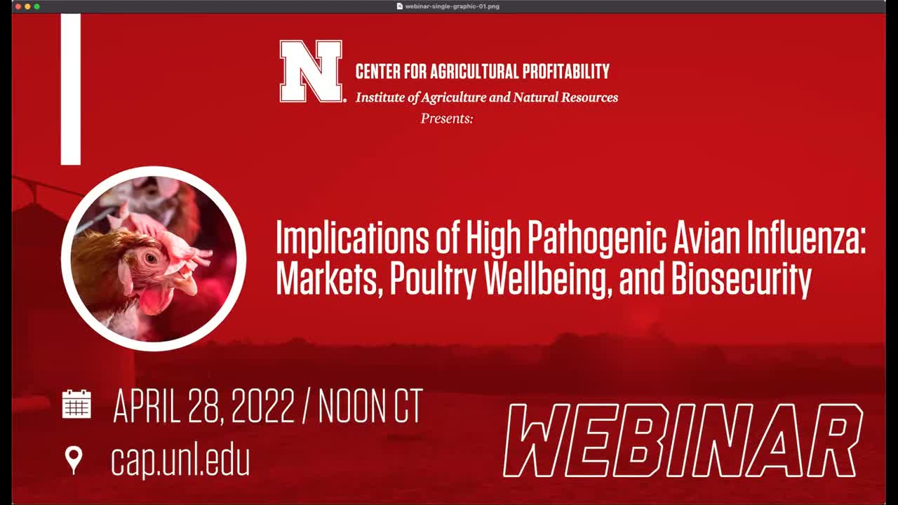 Implications of Avian Influenza: Markets, Poultry Well-being, and Biosecurity (May 2, 2022 Webinar)