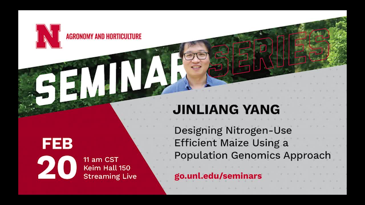 Designing Nitrogen-Use Efficient Maize Using a Population Genomics Approach