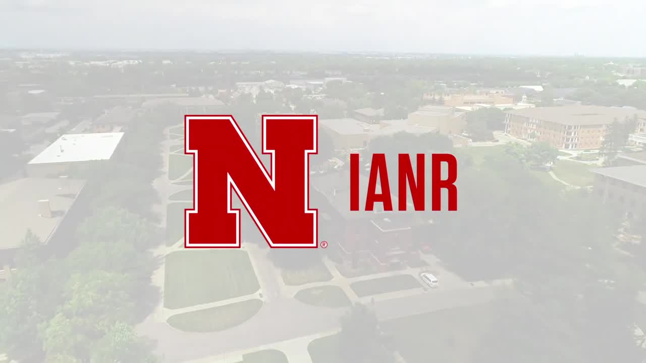 Tiffany Heng-Moss Welcome video 