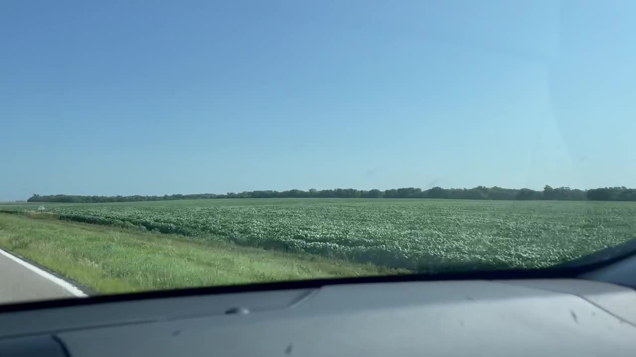 Roadside Reflection #11: Don't Miss the View