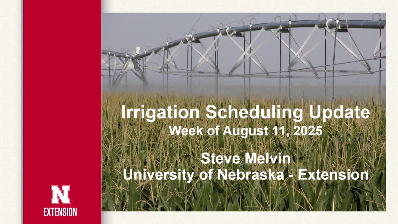 Weekly Irrigation Newsletter — Irrigation Scheduling Update for Aug. 11, 2025