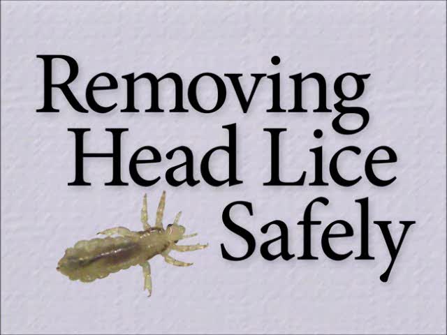 Removing Head Lice Safely