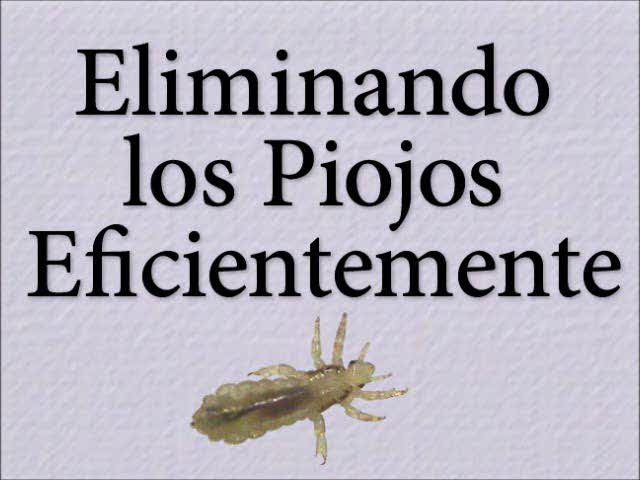 Removing Head Lice Safely (Spanish -- Eliminando los Piojos Eficientemente)