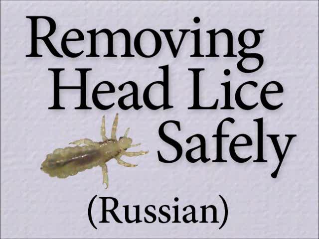 Removing Head Lice Safely (Russian)