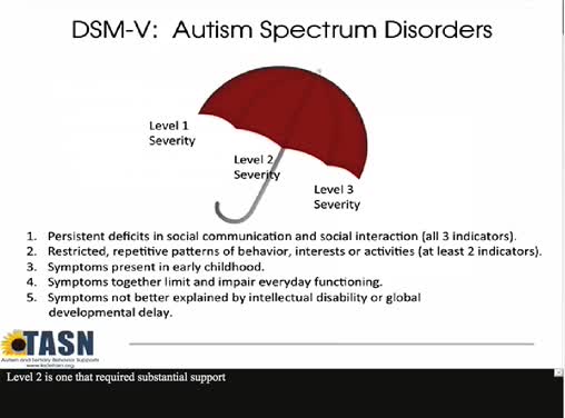Introduction to Autism Spectrum Disorders