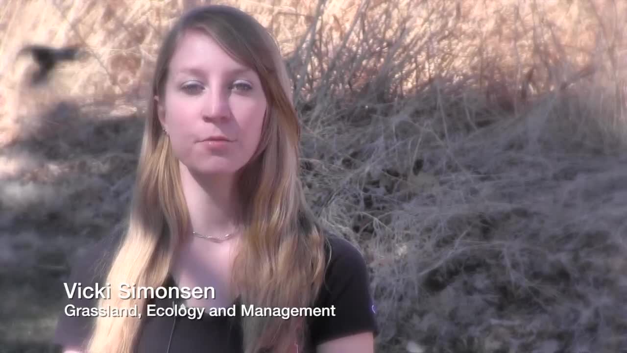 Vicki Simonsen - Grassland, Ecology and Management Undergraduate Major