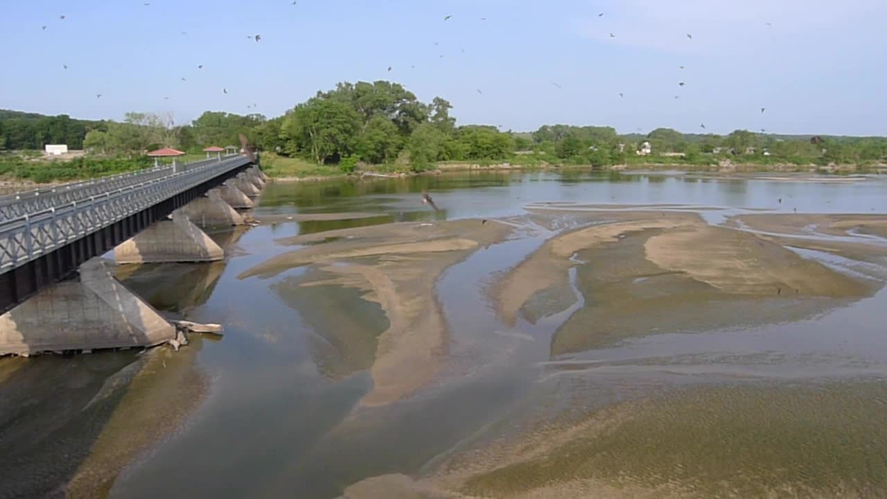 Cliff Swallows at the Platte River Bridge