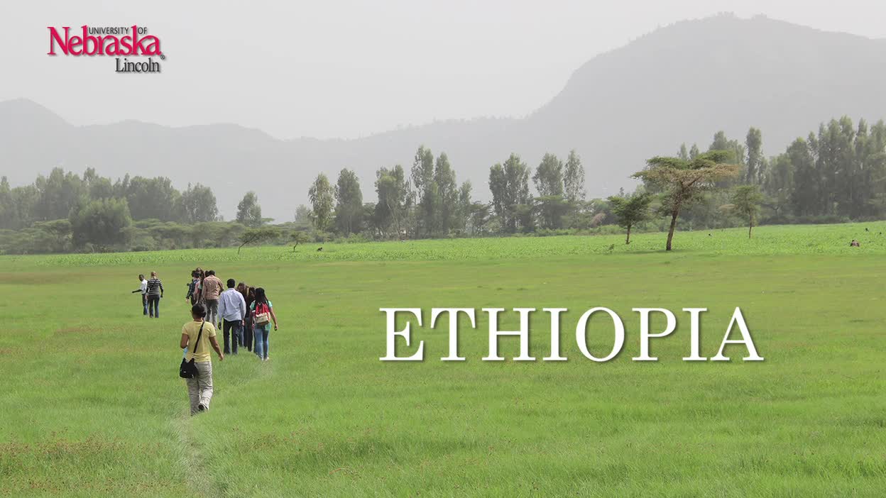 Ethiopia 2015 Interviews