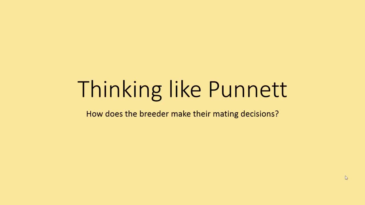 Thinking Like Punnett - Enviropig