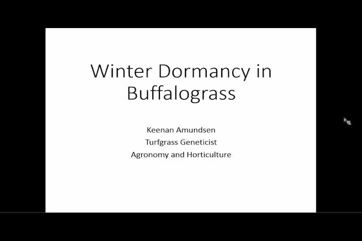 Unmanned aerial systems to evaluate the timing of winter dormancy in Buffalograss