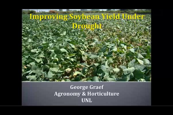 Improving soybean yield under drought