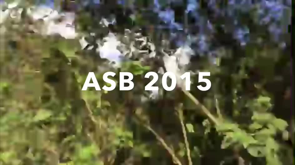 2015 ASB trip to Guatemala