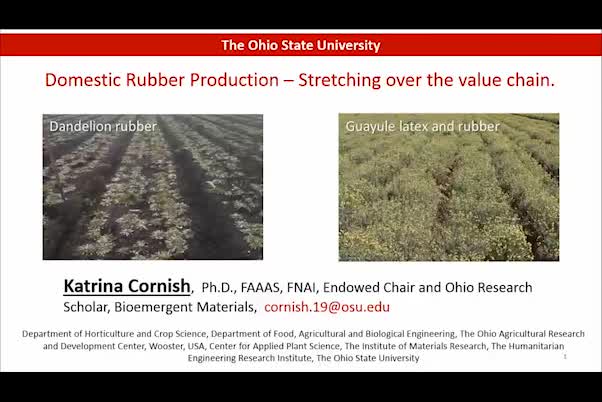 Domestic rubber production – Stretching over the value chain