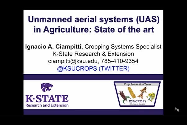 Unmanned aerial systems (UAS) in agriculture: State of the art