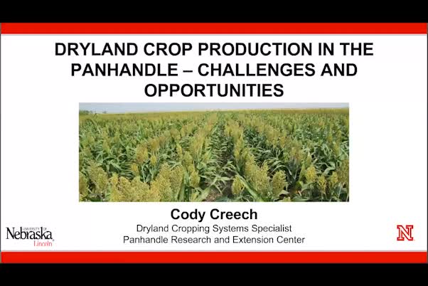 Dryland crop production in the Panhandle—challenges and opportunities