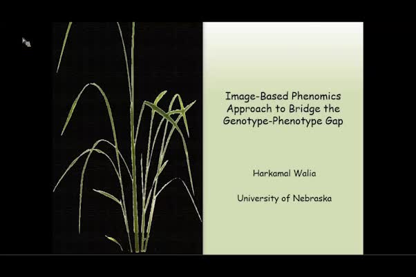 Image-based plant phenomics approach to bridge the genotype-phenotype gap