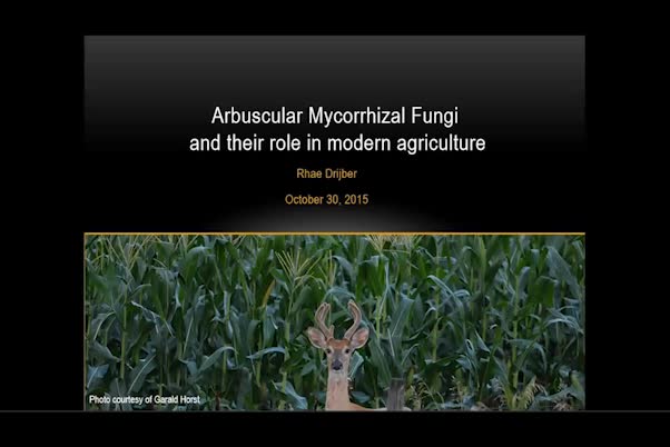 Arbuscular mycorrhizal fungi and their role in modern agriculture