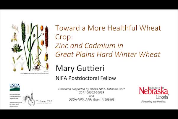 Toward a more healthful wheat crop: Zinc and cadmium in Great Plains hard winter wheat