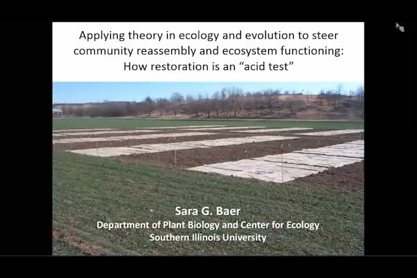 Applying theory in ecology and evolution to steer community reassembly and ecosystem functioning—how grassland restoration is an “acid test”