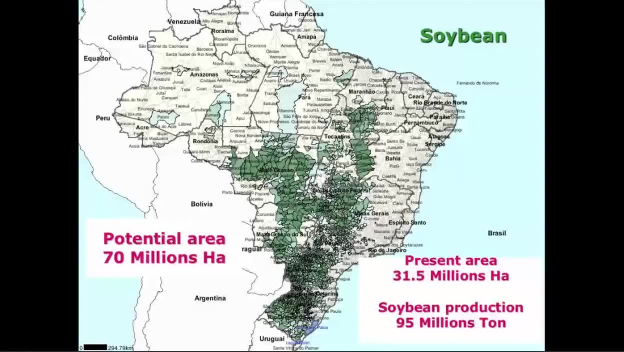 Integrating Precision Agriculture with Cover Crop and Rotational Management in Southern Brazil