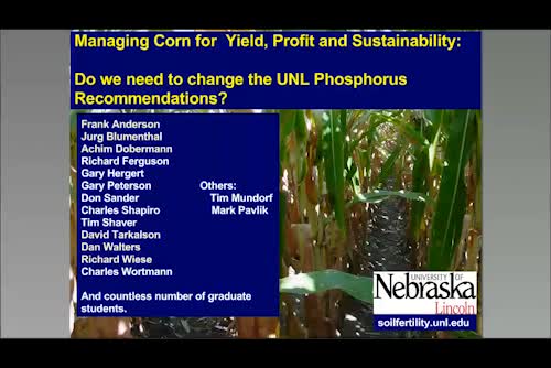 Revisiting phosphorus recommendations for corn