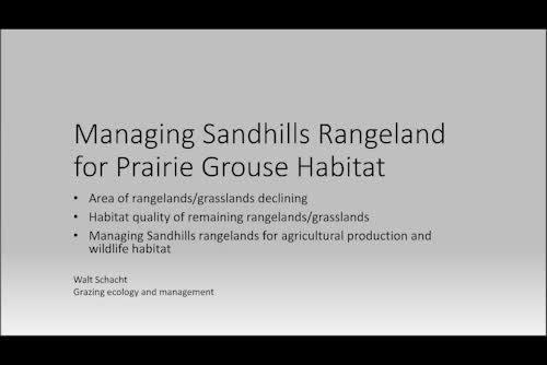 Managing Sandhills rangeland for prairie grouse habitat