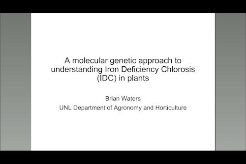 A molecular genetic approach to understanding iron deficiency chlorosis (IDC) in plants