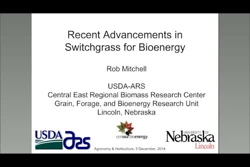 Recent advancements in switchgrass for bioenergy