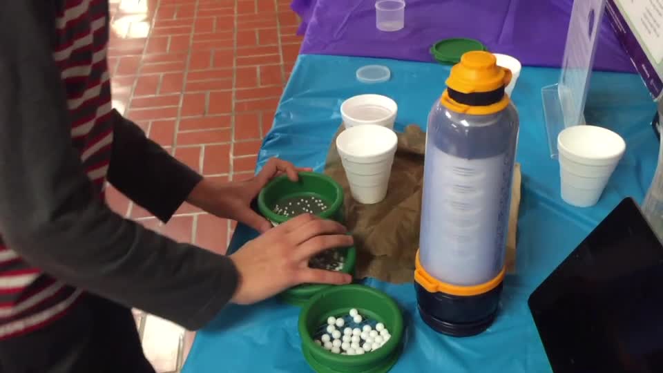 Water filter demonstration