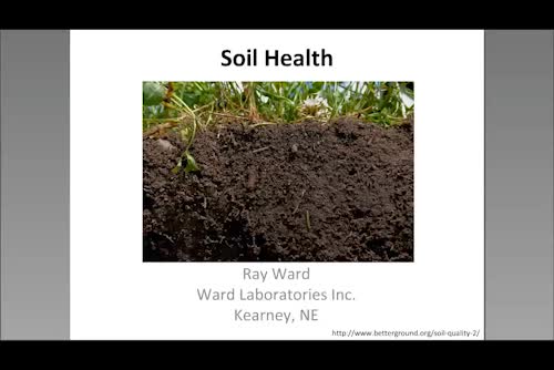 Haney and PLFA tests and soil health