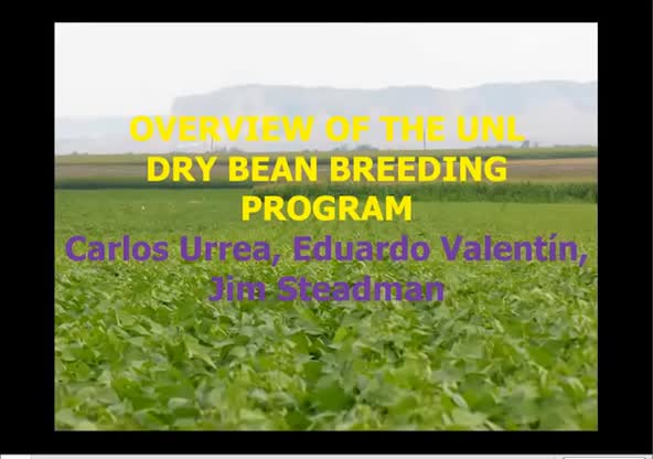 Overview of the UNL Dry Bean Breeding Program