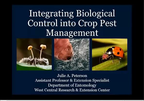Integrating biological control into crop pest management—a little help from beneficial fungi, nematodes, and ladybeetles