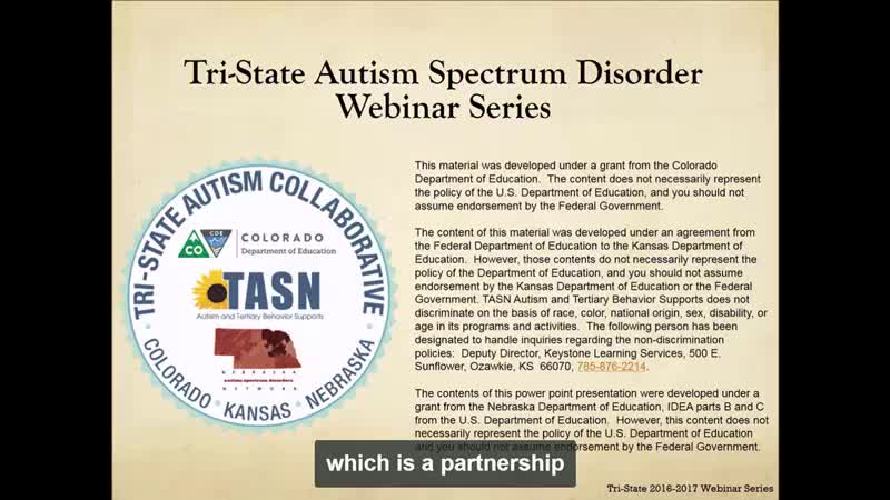 Transition Planning for Individuals with ASD: Part 3 of 4: The Central Importance of Sexual Education in ASD